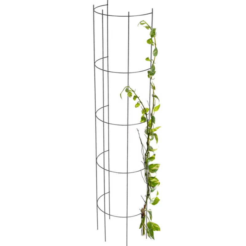 Havepergola Plantesøjle 20x150 cm Stål