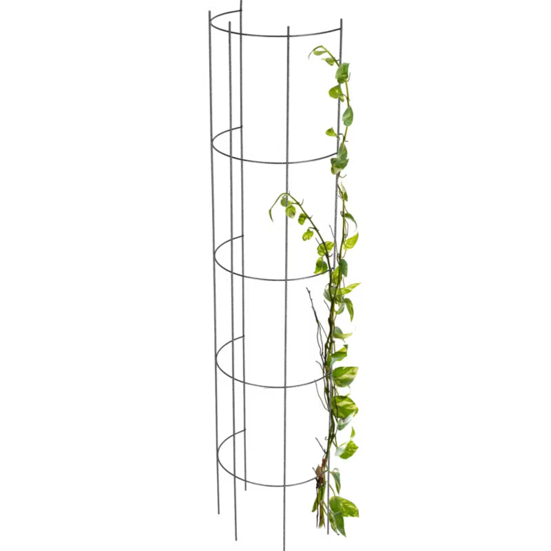 Havepergola Søjle til Klatreplanter 19x120 cm Stål