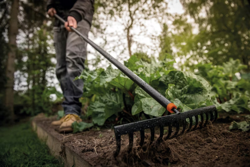 Haveredskabssæt Spidsskovl og Rive Solid Stål