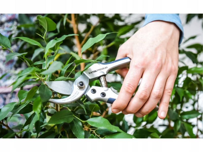 Havesaks 200 mm Stål til Grene og Blomster