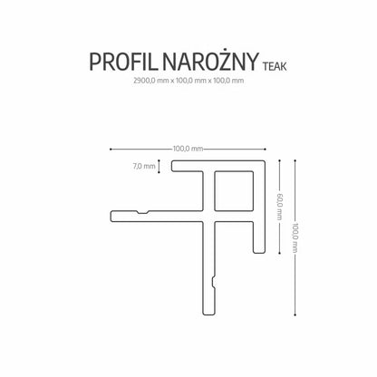 Hjørneprofil WPC 5,8x290 cm Teak