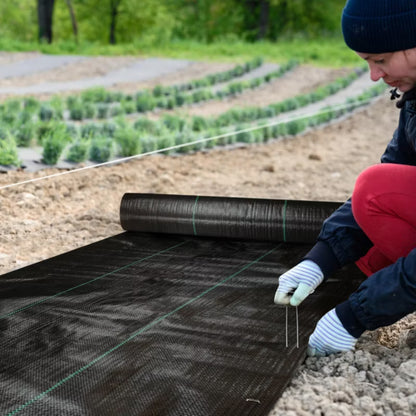 Jordspyd til Ukrudtsdug 15x2,5 cm Galvaniseret Stål 100 Stk.