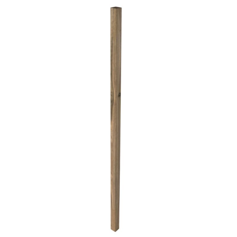 Blooma kanttræ 4,5 x 4,5 x 180 cm grøn