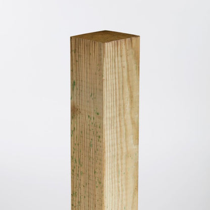 Blooma kanttræ 7 x 7 x 180 cm grøn