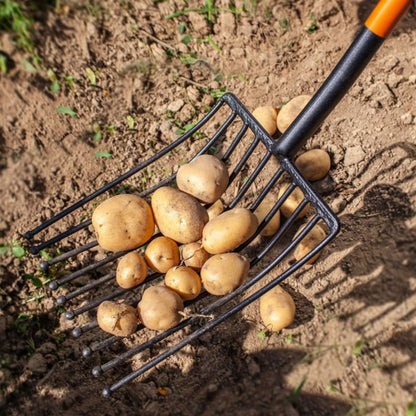 Kartoffelgreb 10 Tænder 128 cm Stål