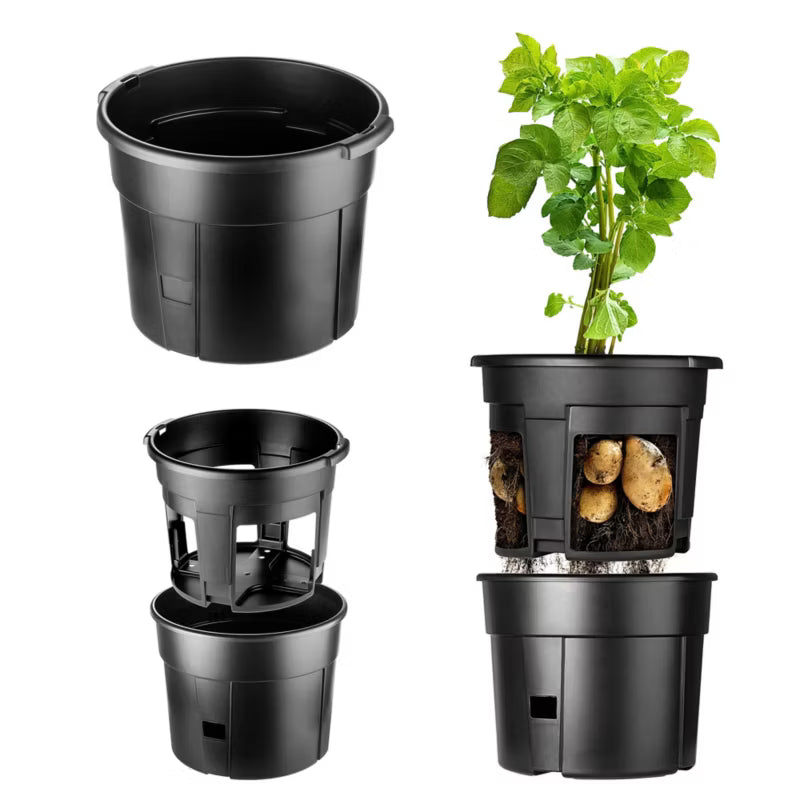 Kartoffelpotte Patras 28 Liter Plastik