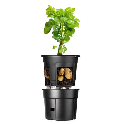Kartoffelpotte Patras 28 Liter Plastik