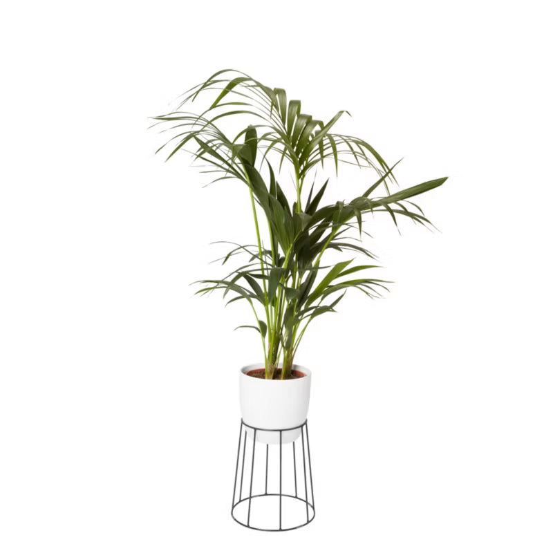 Keramisk Urtepotteskjuler Rund 19 cm Hvid