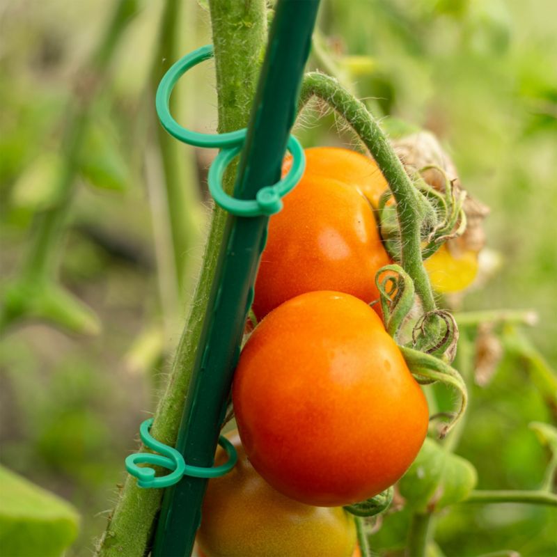 Kadax planteclips til fastgørelse af tomatstængler og skud 3 cm / 4 cm, 40 stk