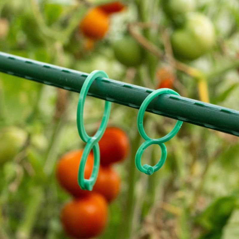Kadax planteclips til fastgørelse af tomatstængler og skud 3 cm / 4 cm, 40 stk