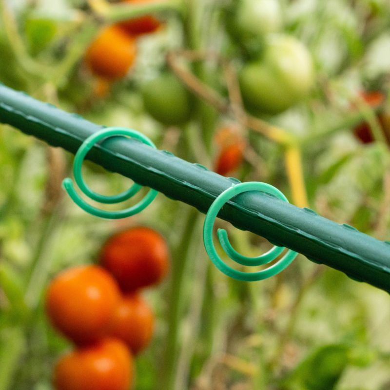 Kadax planteclips til fastgørelse af tomatstængler og bønnegrene 3 cm, 50 stk.