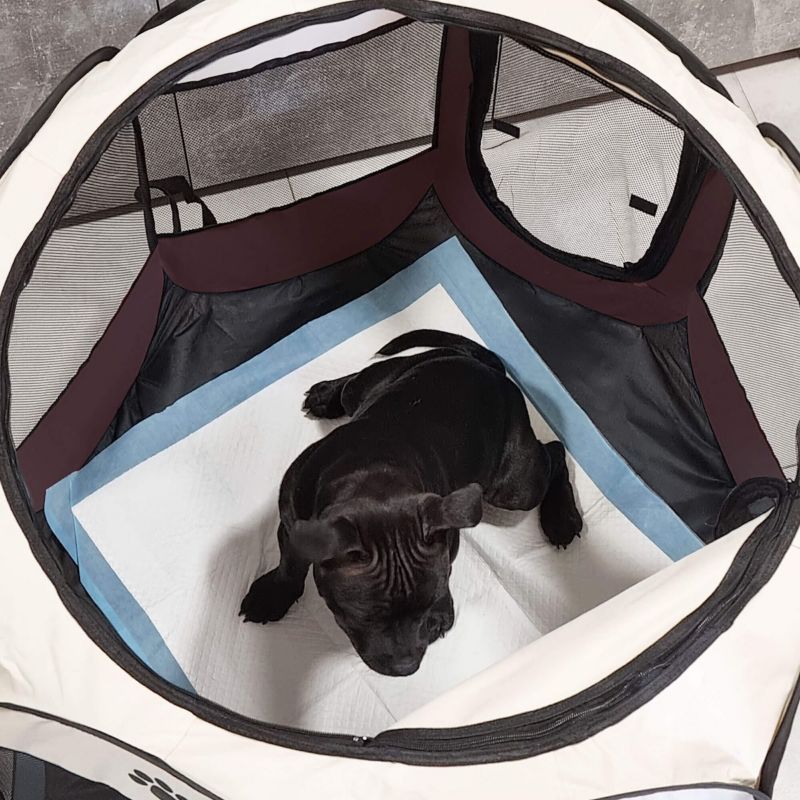Sammenklappelig hunde- og katteindhegning Springos 81 cm beige-brun 1 stk.