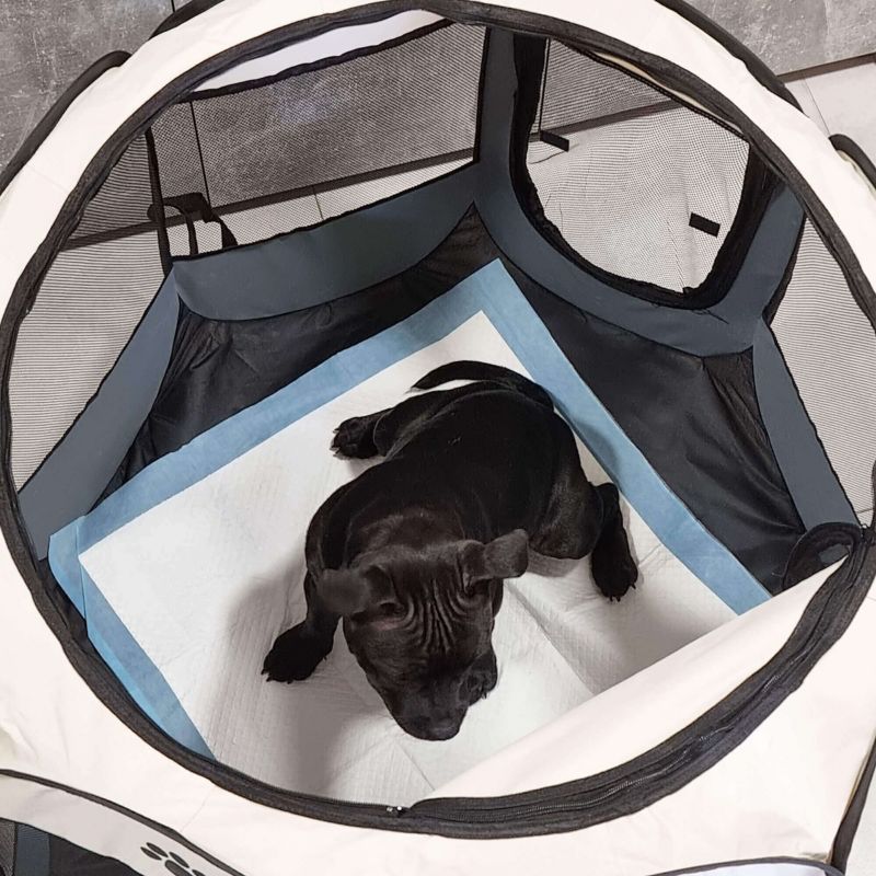 Universal foldbar hunde- og katteindhegning Springos 114 cm beige-grå 1 stk.