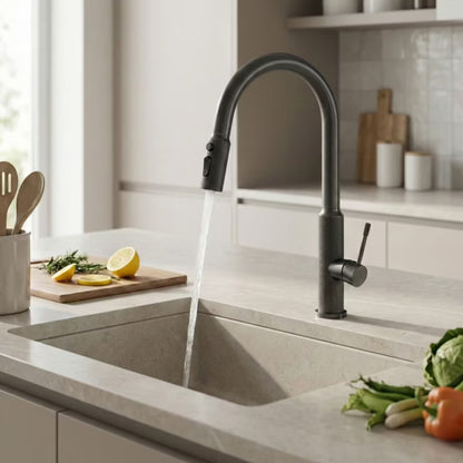 Køkkenarmatur Master 45 cm Titan med Udtrækstud