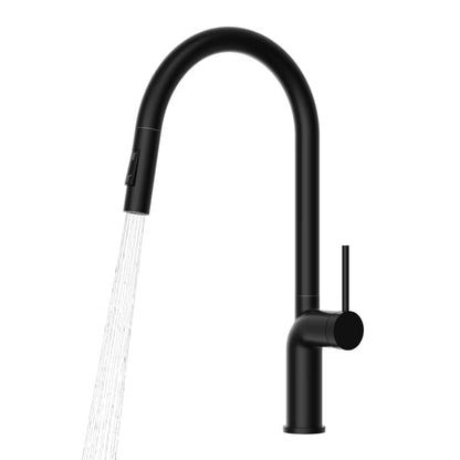 Køkkenarmatur Oxi Sort med Udtrækstud
