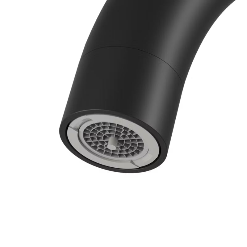 Køkkenarmatur Prestige Plus Sort