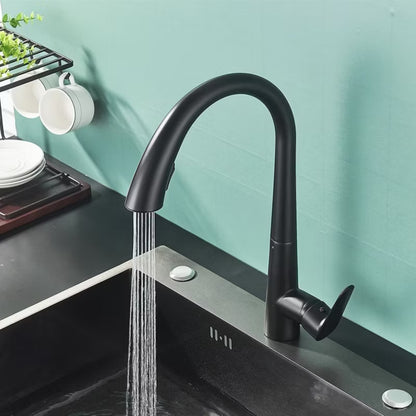 Køkkenarmatur Ross 43 cm Bøjelig Tud Sort Mat