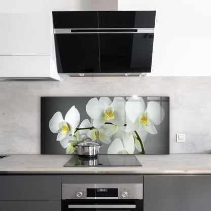 Køkkenpanel 125x50 cm Hvid Glas