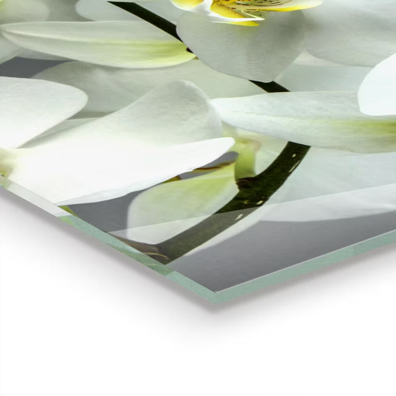 Køkkenpanel 125x50 cm Hvid Glas