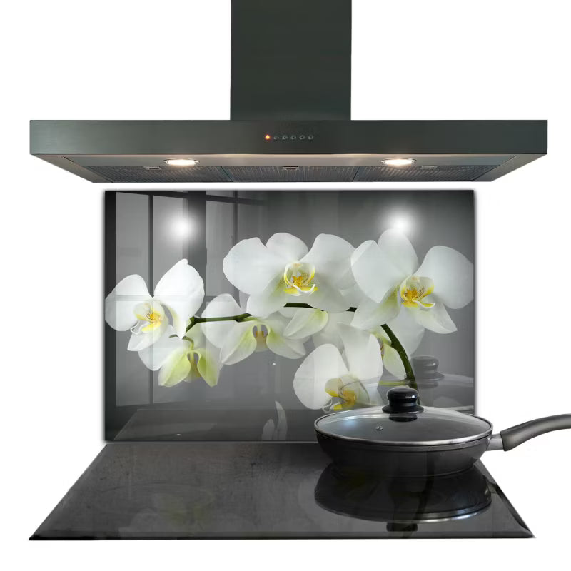 Køkkenpanel 80x60 cm Hvid Glas