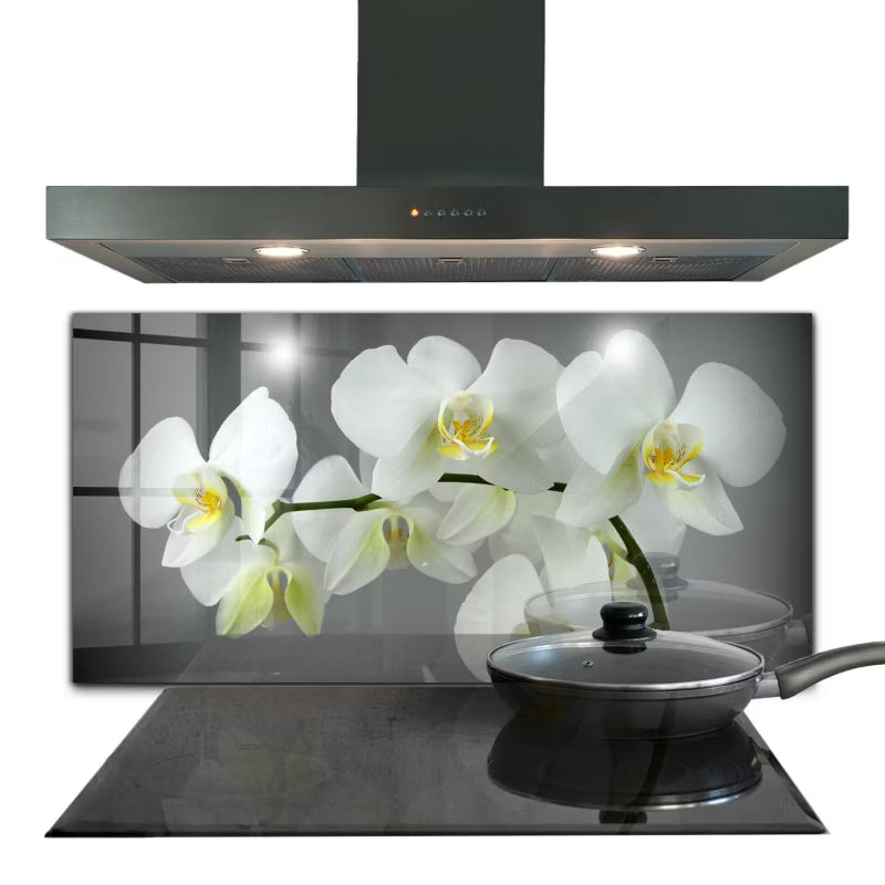 Køkkenstænkplade 100x50 cm Hvid Glas