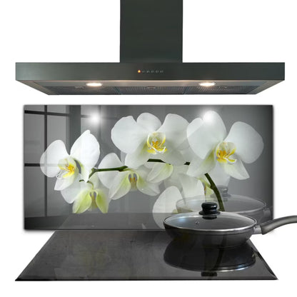 Køkkenstænkplade 100x50 cm Hvid Glas