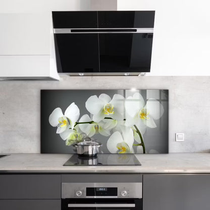 Køkkenstænkplade 100x50 cm Hvid Glas