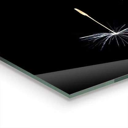 Køkkenstænkplade Mælkebøtte 80x60 cm Glas