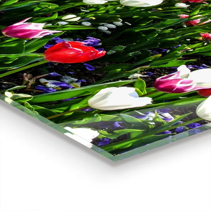 Køkkenstænkplade Sommerblomster 60x80 cm Hærdet Glas