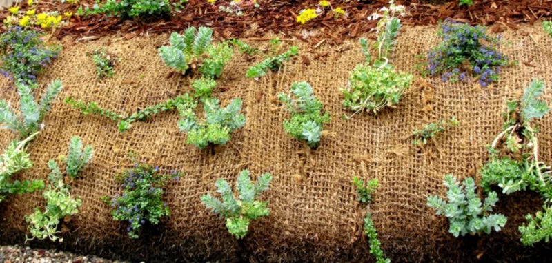 Kokosnet Erosionssikring 1x42 m Natur