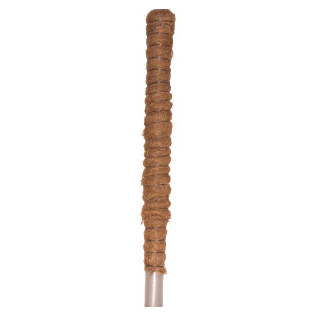 Kokospæl 60 cm Brun