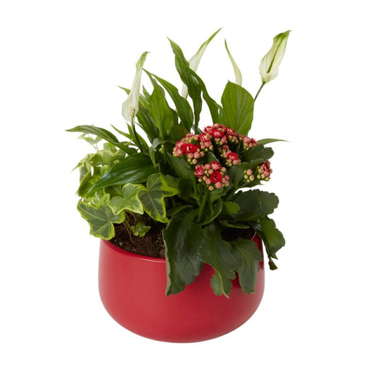 Juledekoration 20 cm