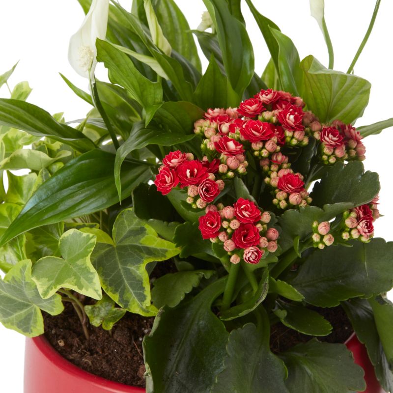 Juledekoration 20 cm