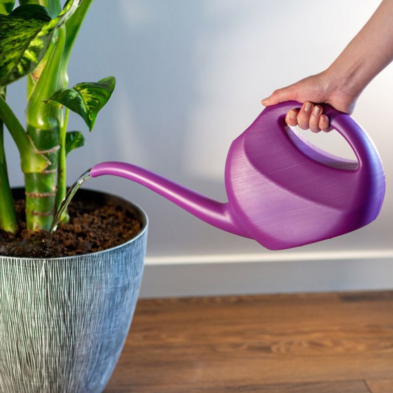 KADAX havekande 2L til vanding af blomster i plastik, lilla