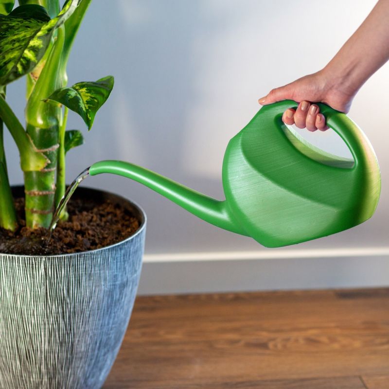 KADAX havekande 2L til vanding, plast, grøn