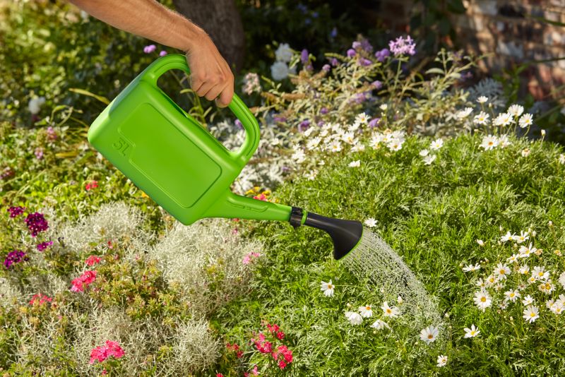 Prosperplast Aqua vandkande 5 l i grøn