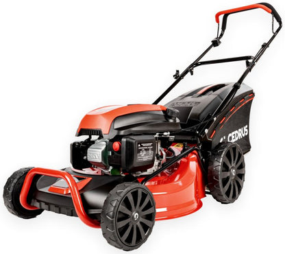 https://media2.castorama.pl/is/image/CastoramaPL/kosiarka-cedrus-ks48-spalinowa-do-trawy-48cm-4-2-km-ewimax-1szt-~5903228180699_03c_MP?$MOB_PREV$