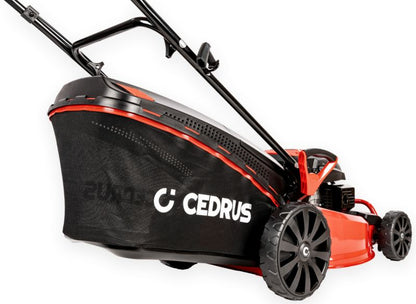 https://media2.castorama.pl/is/image/CastoramaPL/kosiarka-cedrus-ks48-spalinowa-do-trawy-48cm-4-2-km-ewimax-1szt-~5903228180699_08c_MP?$MOB_PREV$