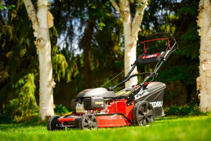 https://media2.castorama.pl/is/image/CastoramaPL/kosiarka-cedrus-ks53s-h-honda-spalinowa-do-traw-alumioniow-honda-gcv200-5w1-53cm-4-1-km-1szt~5903228183041_04c_MP?$MOB_PREV$&$width=1200&$height=1200