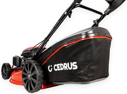 https://media2.castorama.pl/is/image/CastoramaPL/kosiarka-cedrus-ks53s-spalinowa-do-trawy-z-nap-dem-53cm-5-7-km-1szt-~5903228180712_09c_MP