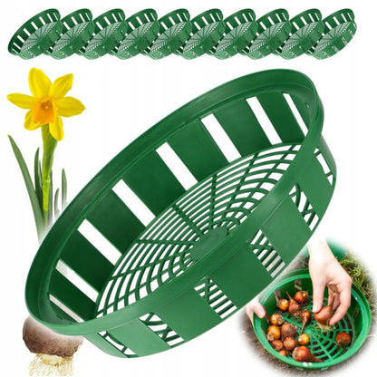 KADAX Juris kurv til plantning af løg 30 cm, 10 stk.