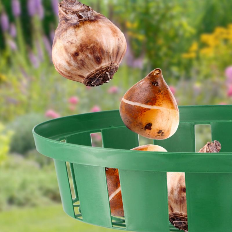 KADAX Juris kurv til plantning af løg 30 cm, 10 stk.