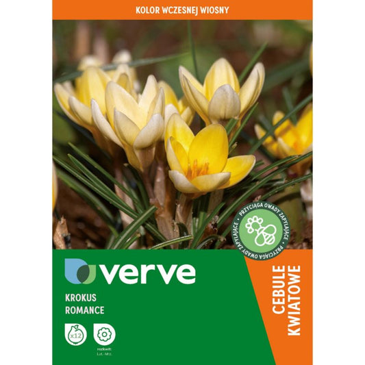 Krokus Romance Verve