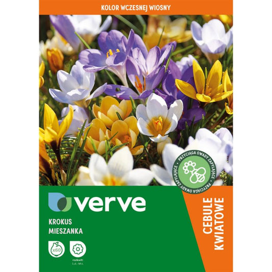 Krokus Verve blanding