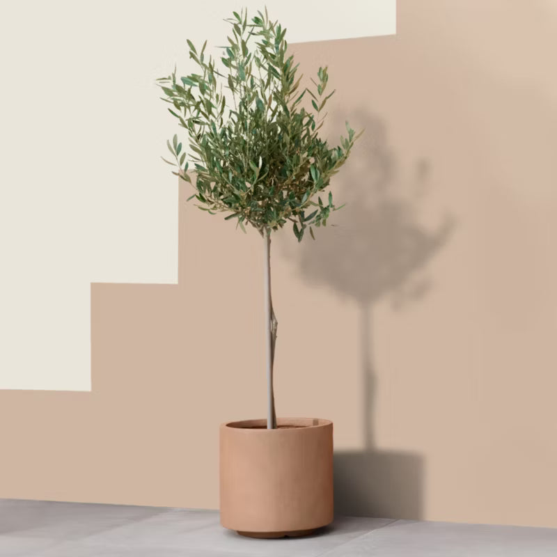 Krukke Cylinder Ø32 cm Brun