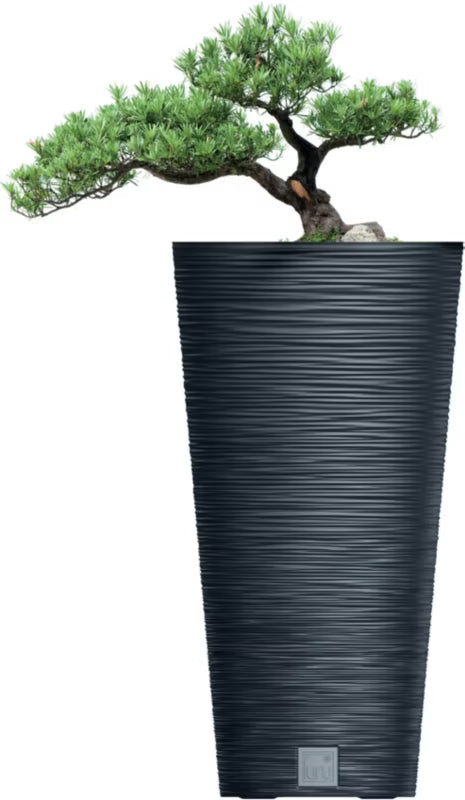 Krukke Furu Rund 30 cm Antracit