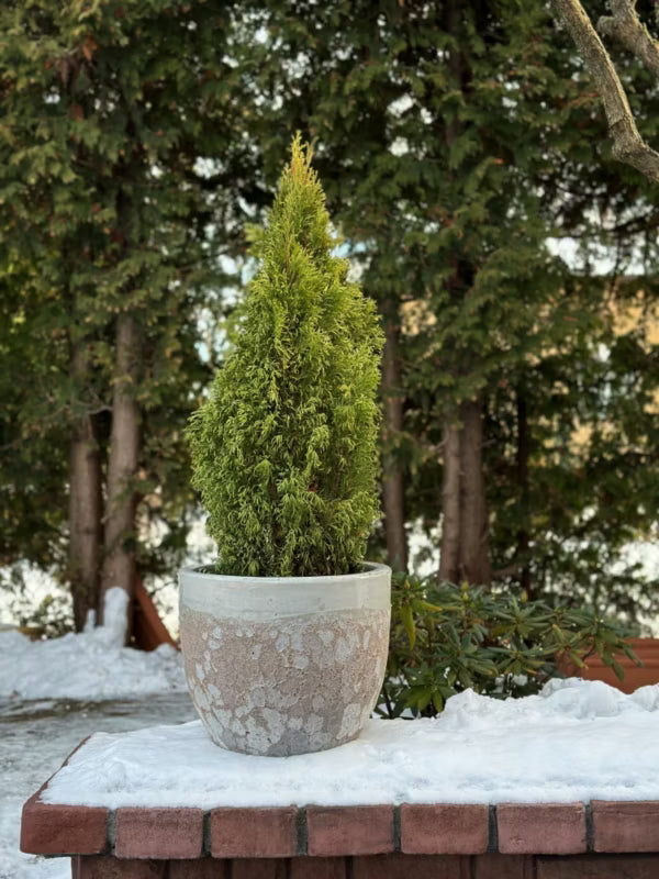 Krukke Rund Ø30 cm Hvid Keramik