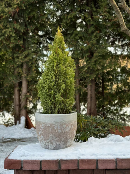 Krukke Rund Ø30 cm Hvid Keramik