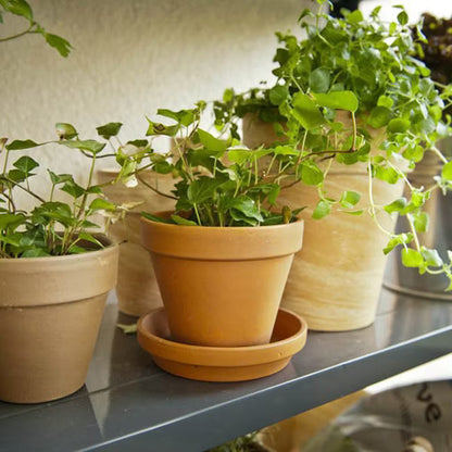 Krukke Terrakotta 31 cm Beige