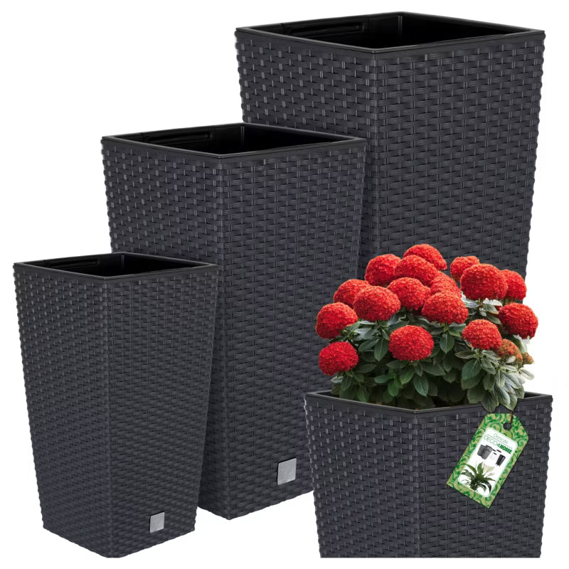 Krukkesæt Rattan 3 Stk. 37,5-50 cm Antracit